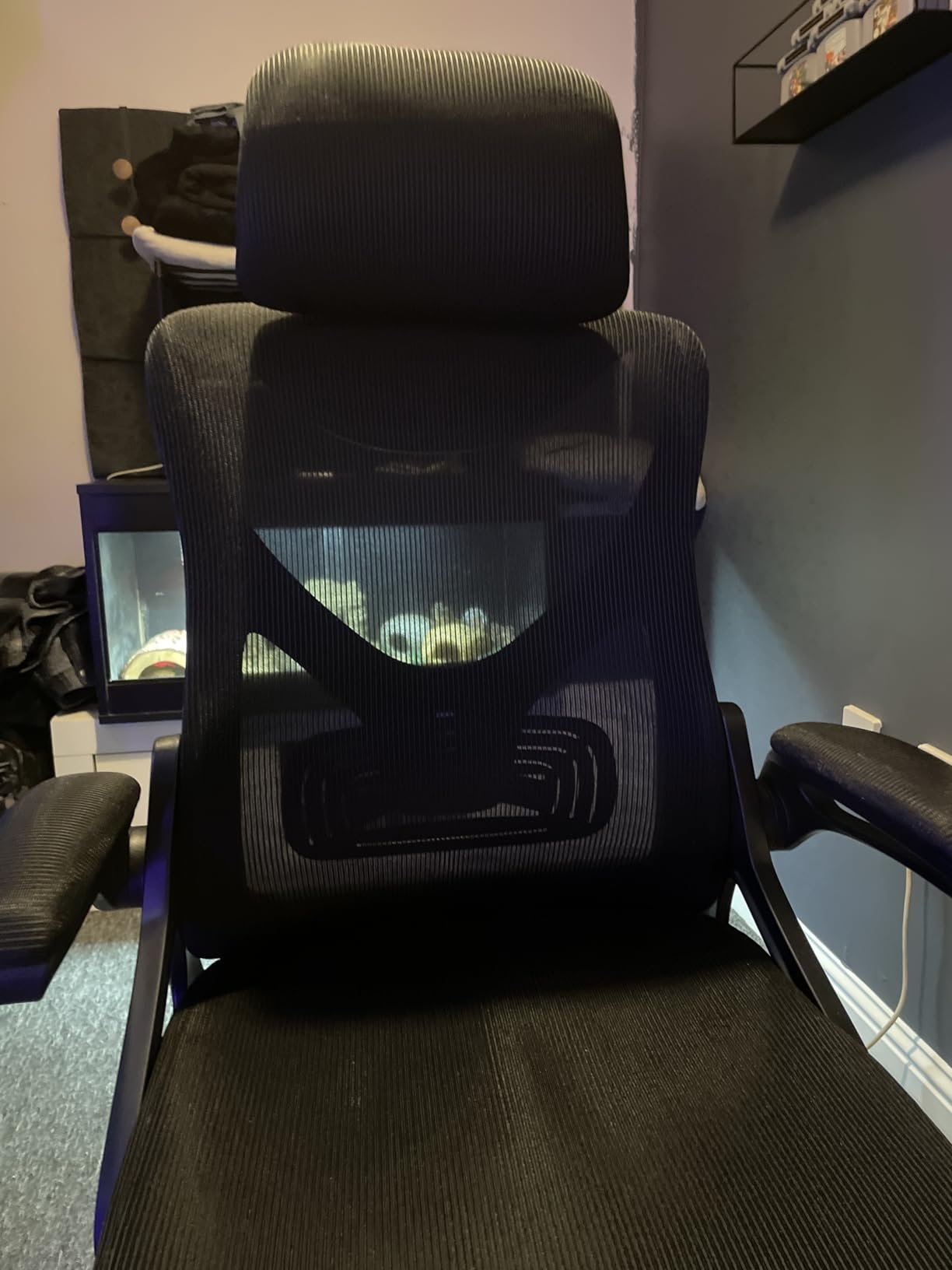 Customer front-view photo of the chair in a gaming room